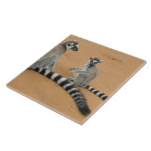 Ringstaartmaki's, (Lemur catta), Berenty Tegeltje (Zijkant)