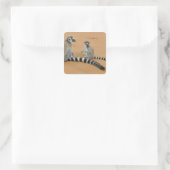 Ringstaartmaki's, (Lemur catta), Berenty Vierkante Sticker (Tas)