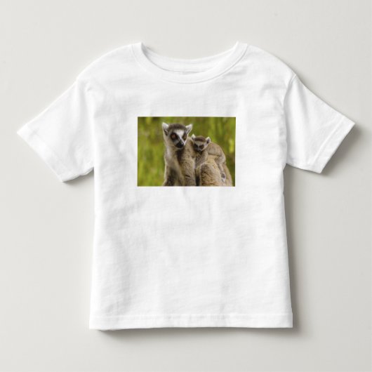 Ringstaartmaki's (Lemur catta) Moeder & baby. Kinder Shirts (Voorkant)