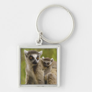 Ringstaartmaki's (Lemur catta) Moeder & baby. Sleutelhanger