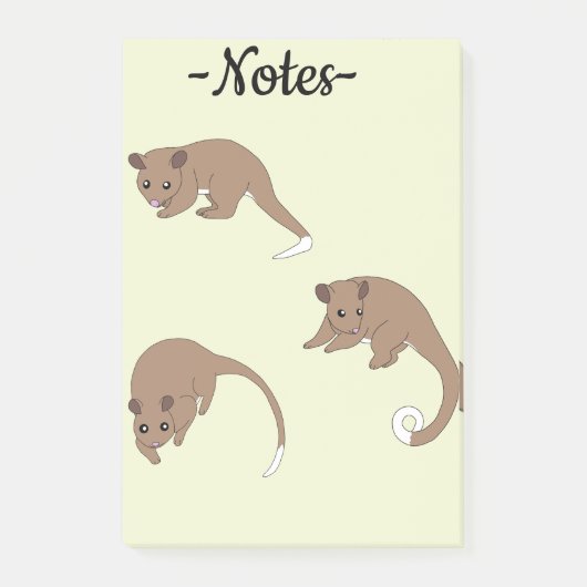 Ringstaartpossum's Post-it® Notes (Voorkant)