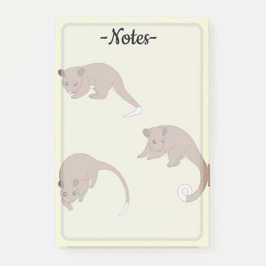Ringstaartpossum's Post-it® Notes (Voorkant)