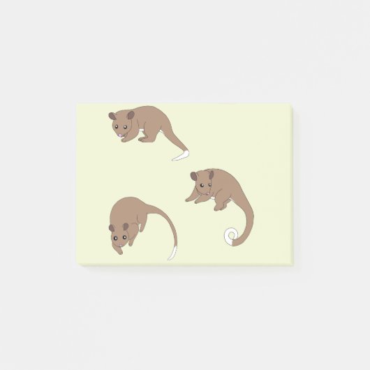 Ringstaartpossum's Post-it® Notes (Voorkant)
