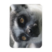 Ringtail Lemur magneet (Verticaal)