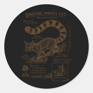 Ringtail Mijnwerkers Kat Anatomie Wilde Dieren Die Ronde Sticker