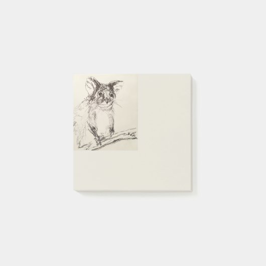 Ringtail Possum Australië Post-it® Notes (Voorkant)