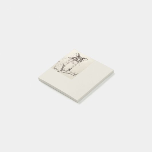 Ringtail Possum Australië Post-it® Notes (Schuin)