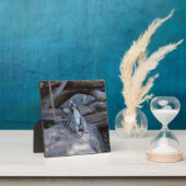 Ringtail Possum Foreman on Work Fotoplaat (Insitu)