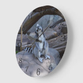 Ringtail Possum Foreman on Work Grote Klok (Hoek)