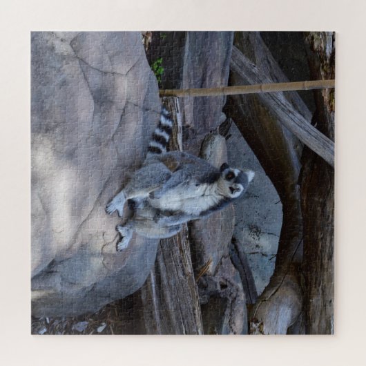 Ringtail Possum Foreman on Work Legpuzzel (Horizontaal)