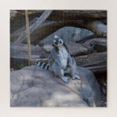 Ringtail Possum Foreman on Work Legpuzzel (Verticaal)