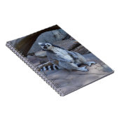 Ringtail Possum Foreman on Work Notitieboek (Rechterzijde)