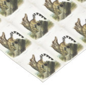Ringtail (ringstaartbassaris, ringstaartkat) medium tafelloper (Hoek)