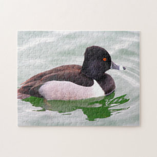 ringvormige eend legpuzzel