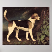 Ringwood, a Brocklesby Foxhound, 1792 Poster (Voorkant)
