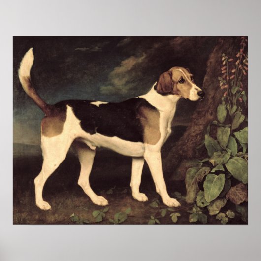 Ringwood, a Brocklesby Foxhound, 1792 Poster (Voorkant)