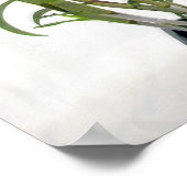 Rinnapa Dendrobium Orchid Plant Poster (Hoek)