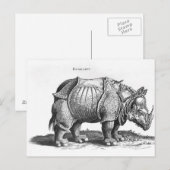 Rinoceros, van 'Historia Animalium Briefkaart (Voorkant / Achterkant)