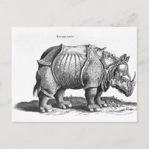 Rinoceros, van 'Historia Animalium Briefkaart