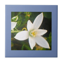 Riny Spring White Flowering Ceramic Tile Tegeltje