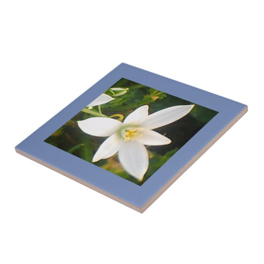 Riny Spring White Flowering Ceramic Tile Tegeltje (Zijkant)