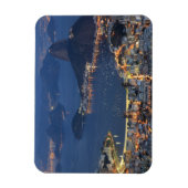 Rio de Janeiro, Brazilië Magneet (Verticaal)