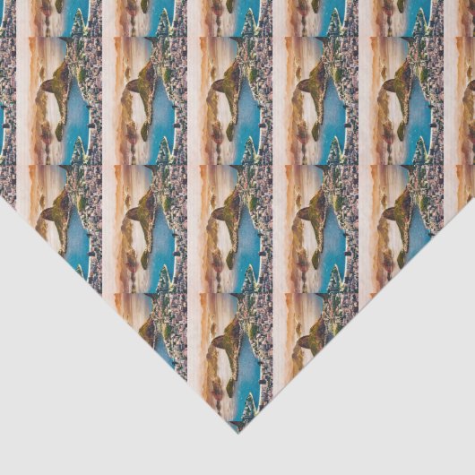 Rio De Janeiro Cityscape Uitzicht Tissuepapier (Detail)