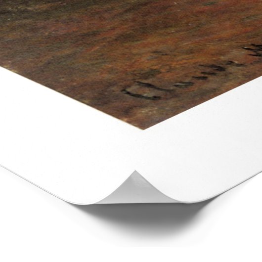 Rio Della Salute Poster (Hoek)