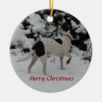 Rio Dog Sneeuwpunt Keramisch Ornament