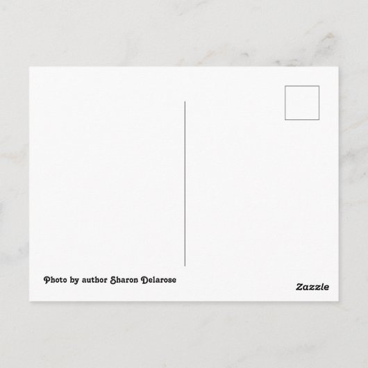 Rio Frio River Concan Texas Garner Briefkaart (Achterkant)