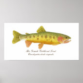 Rio Grande Cutkeel-forel Poster (Voorkant)