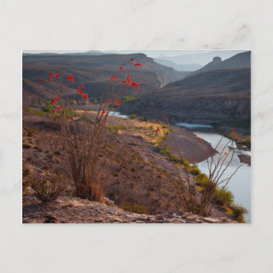 Rio Grande die door de Chihuahuan-woestijn stroomt Briefkaart