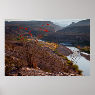 Rio Grande die door de Chihuahuan-woestijn stroomt Poster