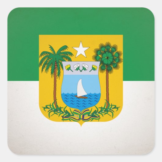 Rio Grande do Norte Vierkante Sticker (Voorkant)