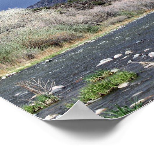 Rio Grande, New Mexico Poster (Hoek)