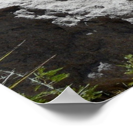 Rio Grande River-Texas Poster (Hoek)