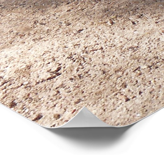 Rio Grande Wild Turkije Poster (Hoek)