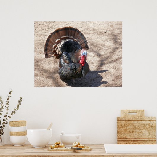 Rio Grande Wild Turkije Poster (Keuken)