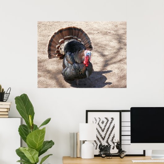 Rio Grande Wild Turkije Poster (Thuiskantoor)