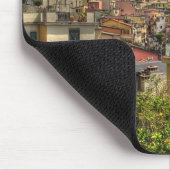 riomaggiore muismat (Hoek)