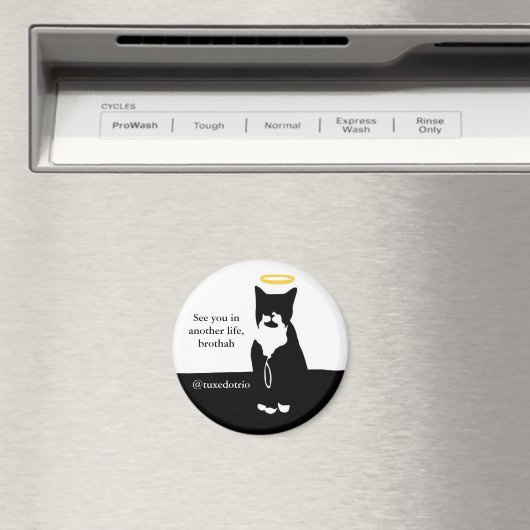 RIP Desmond Magnet (Insitu (Vaatwasser))