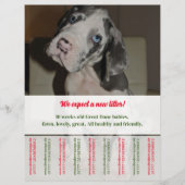 Rip Off Flyer Puppy verkopen rood groen (Voorkant)