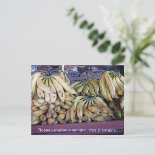 rip plantains. briefkaart (Staand voorkant)