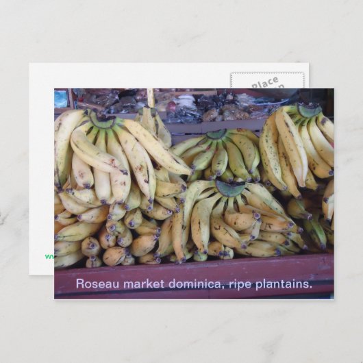 rip plantains. briefkaart (Voorkant / Achterkant)