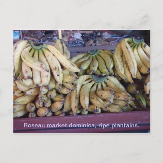 rip plantains. briefkaart (Voorkant)