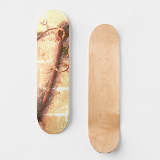 RIP Seaweed 2 Skateboard (Voorkant)