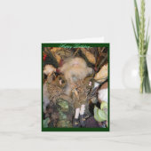 Rip Van Winkle Verjaardag Kaart (Voorkant)