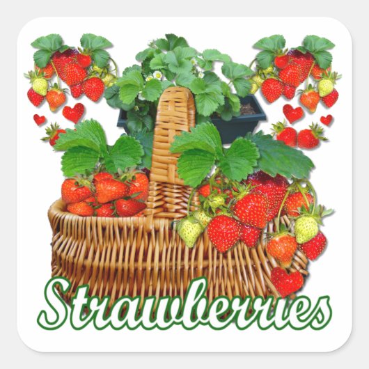 Ripe aardbeien ~ Square Sticker (Voorkant)