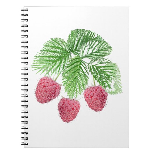 Ripe, bessen, frambozen notitieboek (Voorkant)