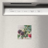 Ripe Blackberries Magneet (Insitu (Vaatwasser))